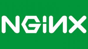 Nginx 1.19.4 主线版更新,更新改进功能等