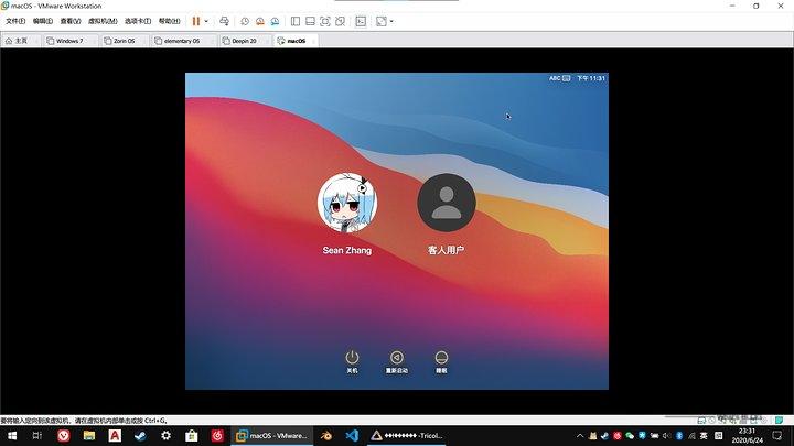 VMWare虚拟机安装macOS最新Big Sur教程及资源 VMWare虚拟机安装macOS最新Big Sur教程及资源