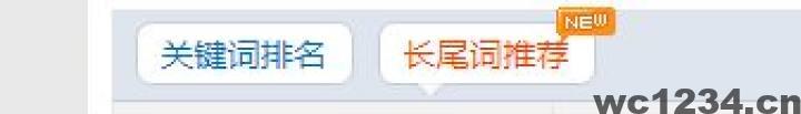 新手向项目网站SEO优化教程-关键词的添加与基础概念
